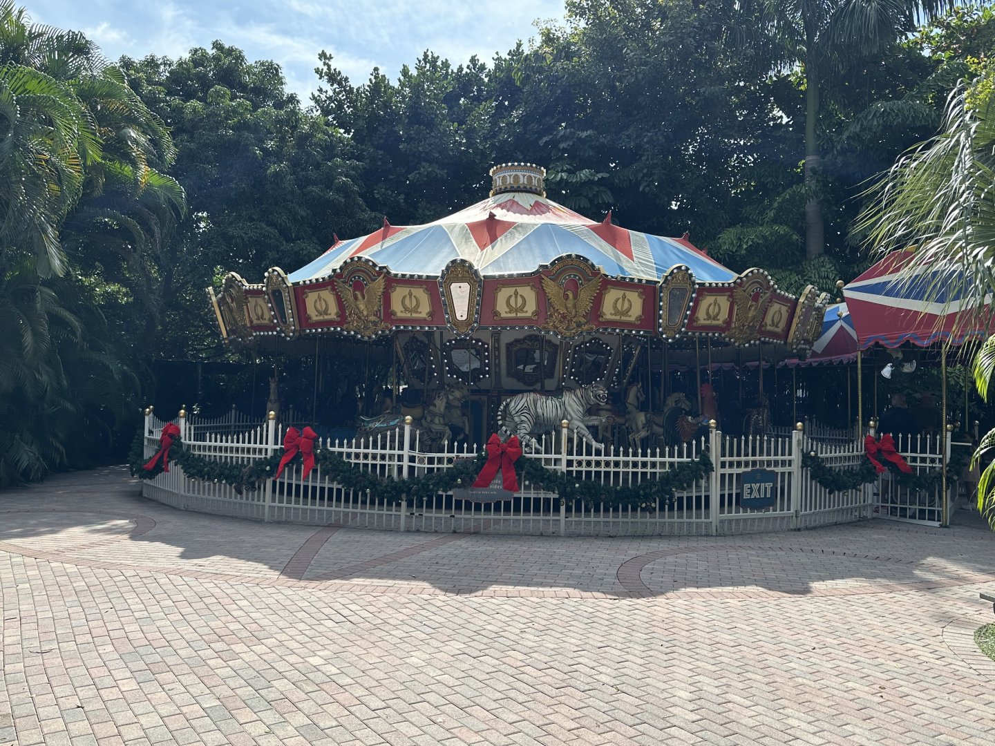 Nov. 2025 - Carousel