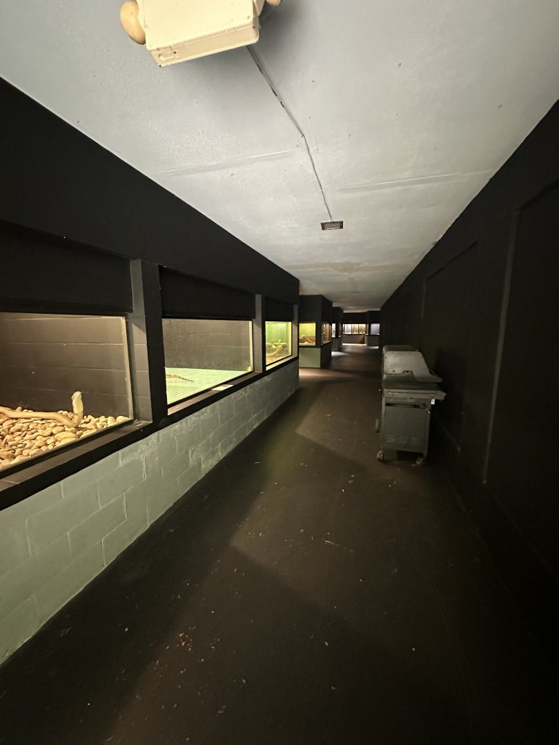 Nov. 2025 - Exhibit Hall - Overview