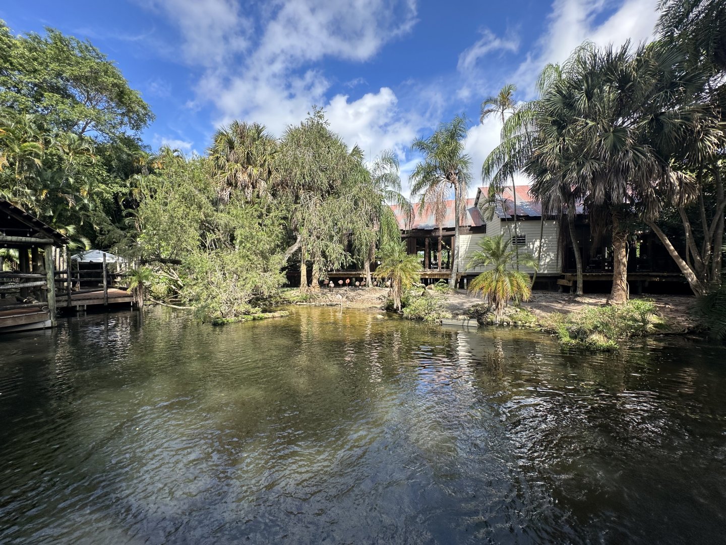 Nov. 2025 - Flamingo Enclosure (1 of 2)