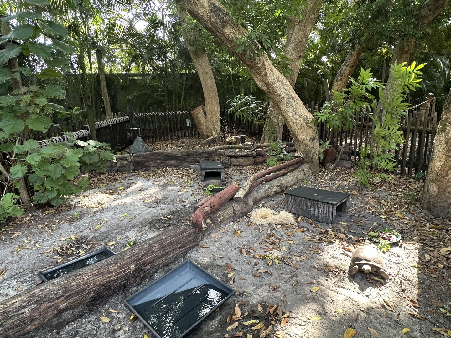 Nov. 2025 - Florida Wetlands - Gopher Tortoise Enclosures