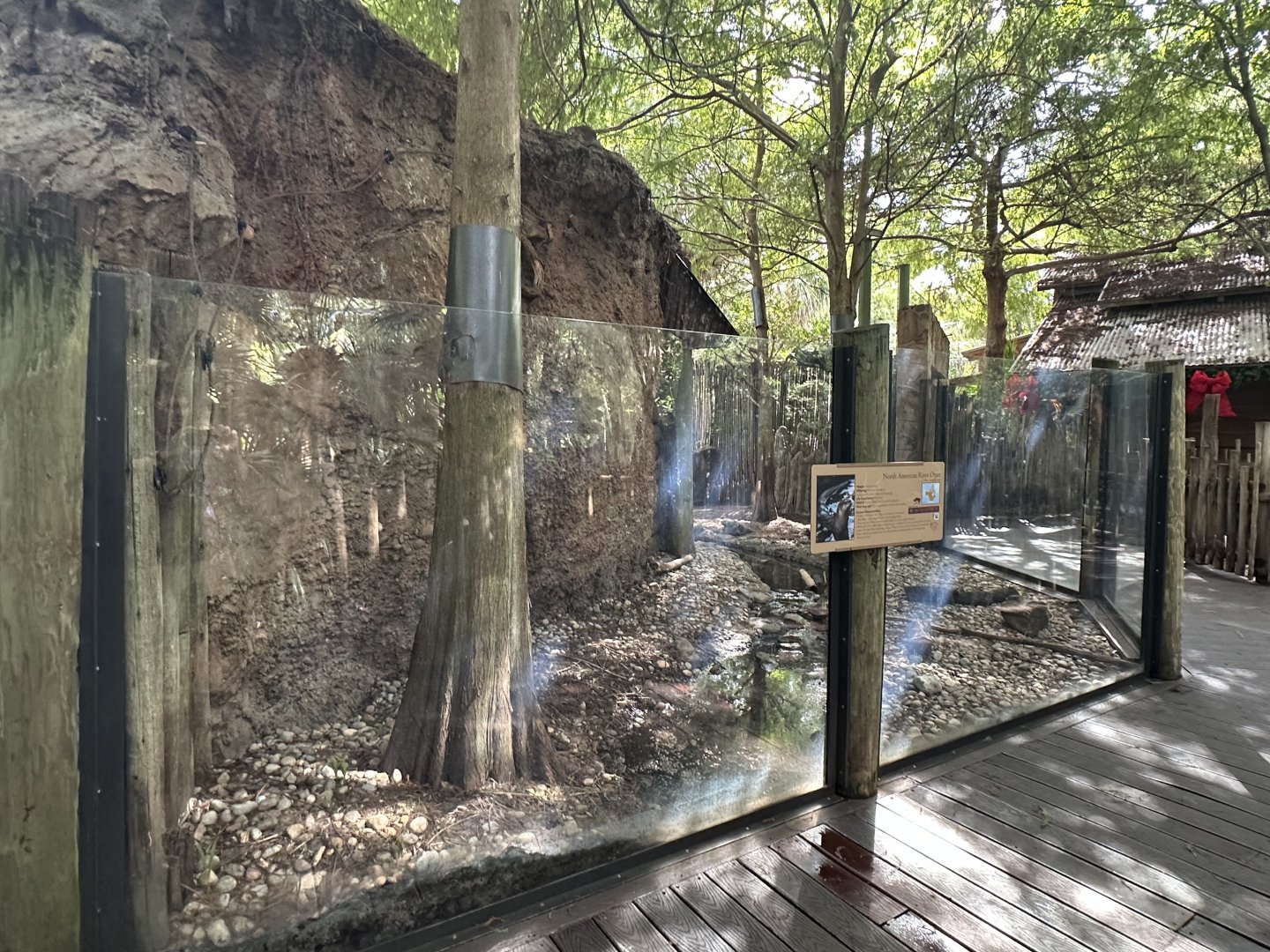 Nov. 2025 - Florida Wetlands - River Otter Enclosure