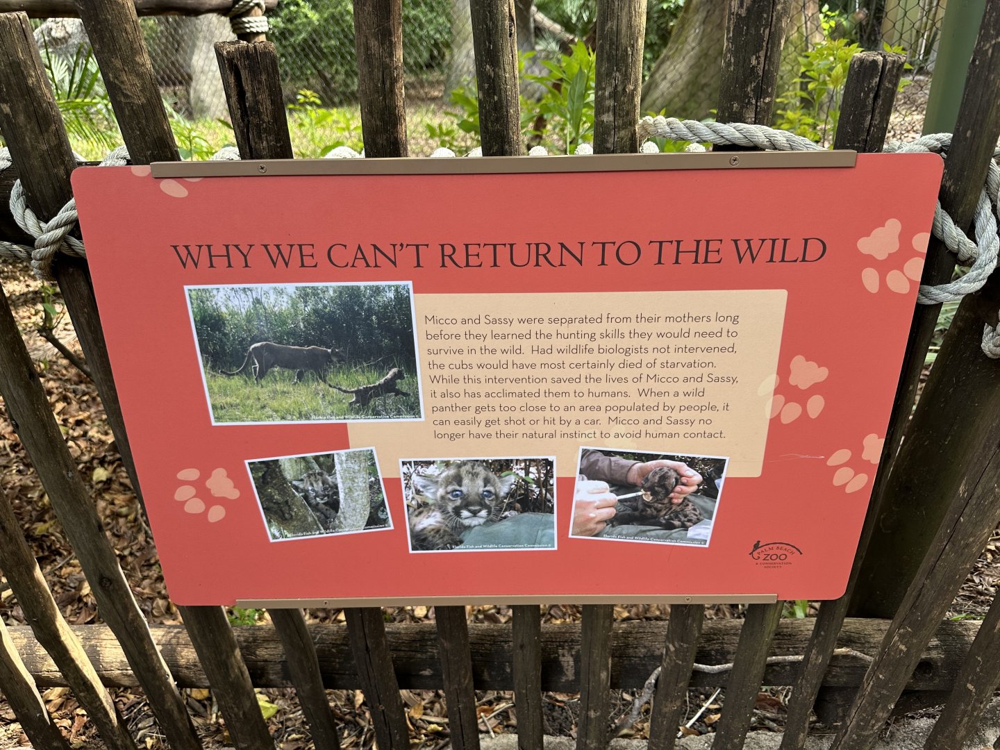 Nov. 2025 - Florida Wetlands - Signage
