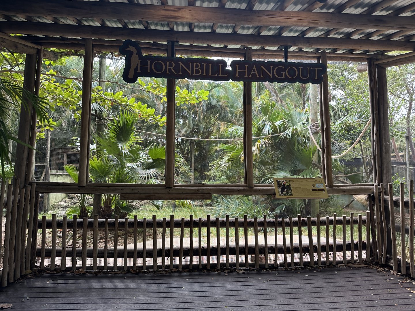 Nov. 2025 - Hornbill Hangout (1)