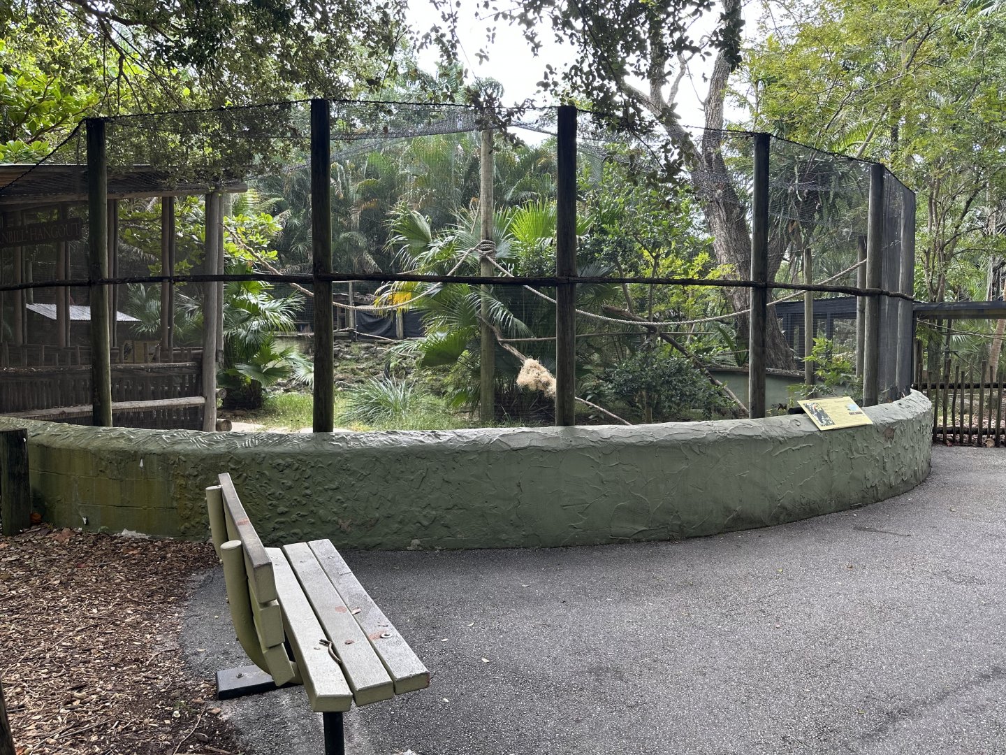 Nov. 2025 - Hornbill Hangout (2)