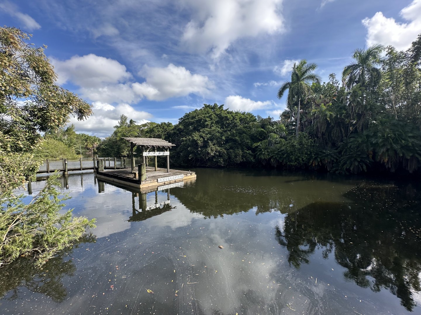 Nov. 2025 - Lakeside View (from the Caiman)