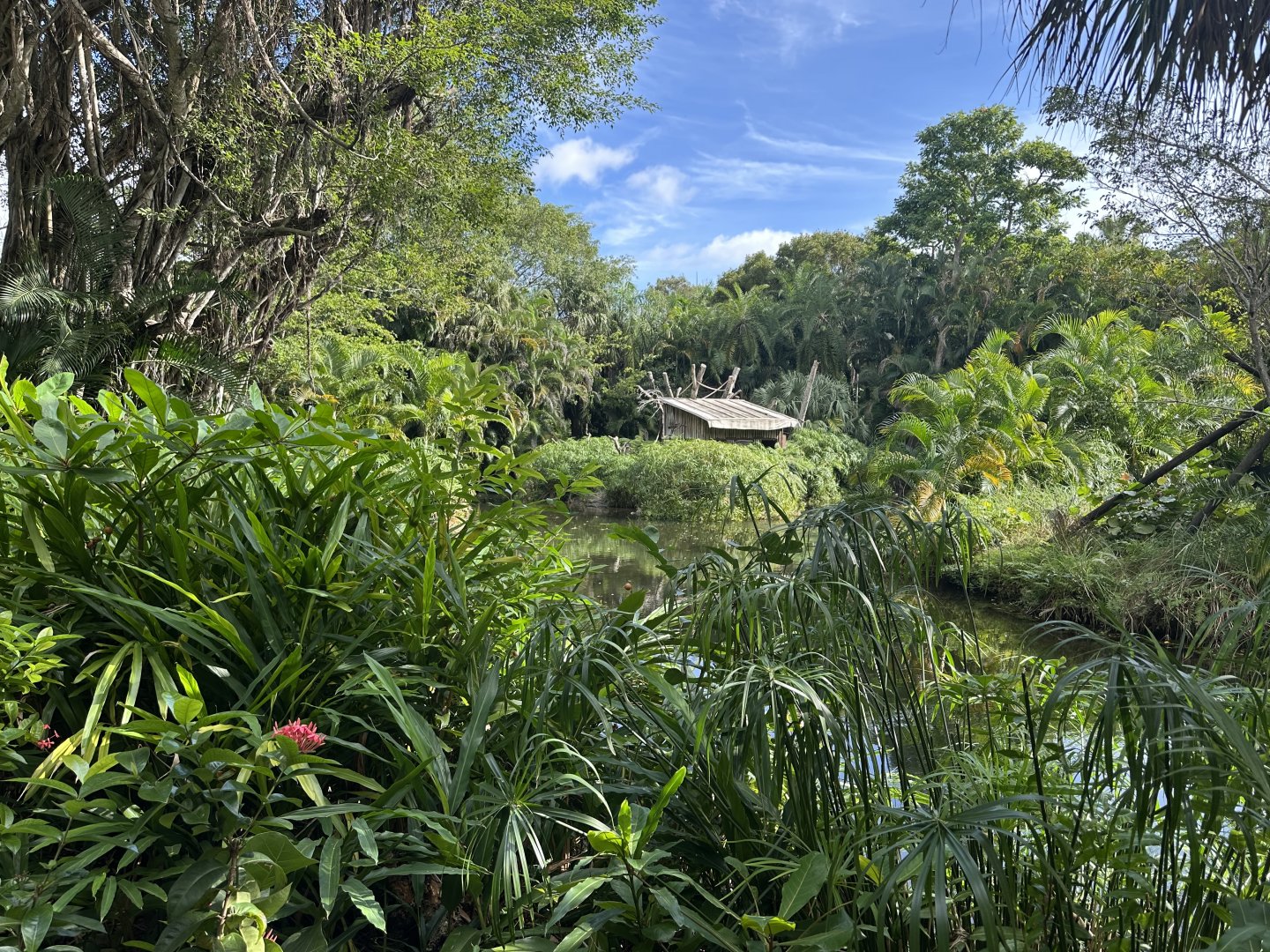 Nov. 2025 - Lemur Island Overview