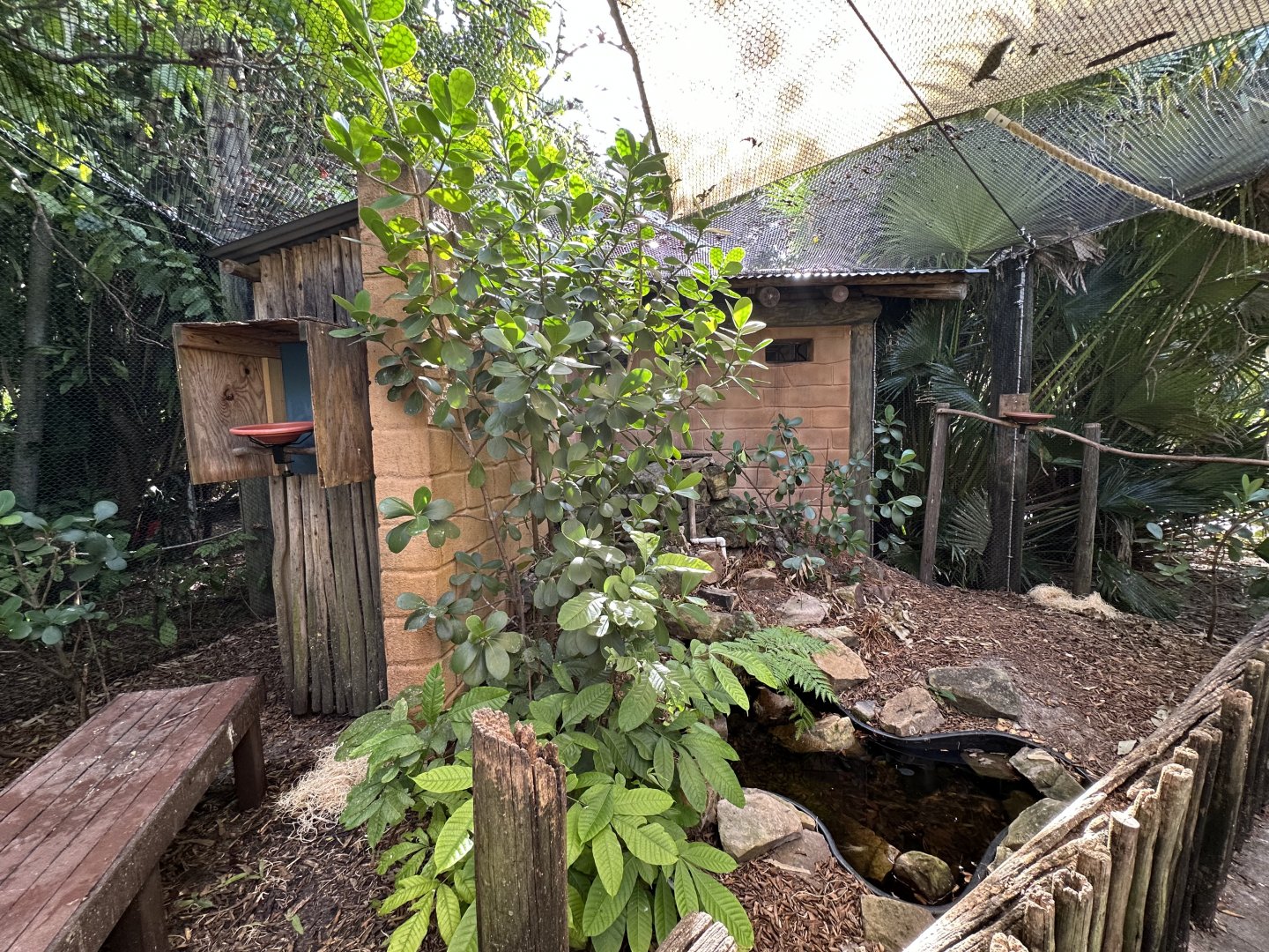 Nov. 2025 - Lorikeet Loft (1)