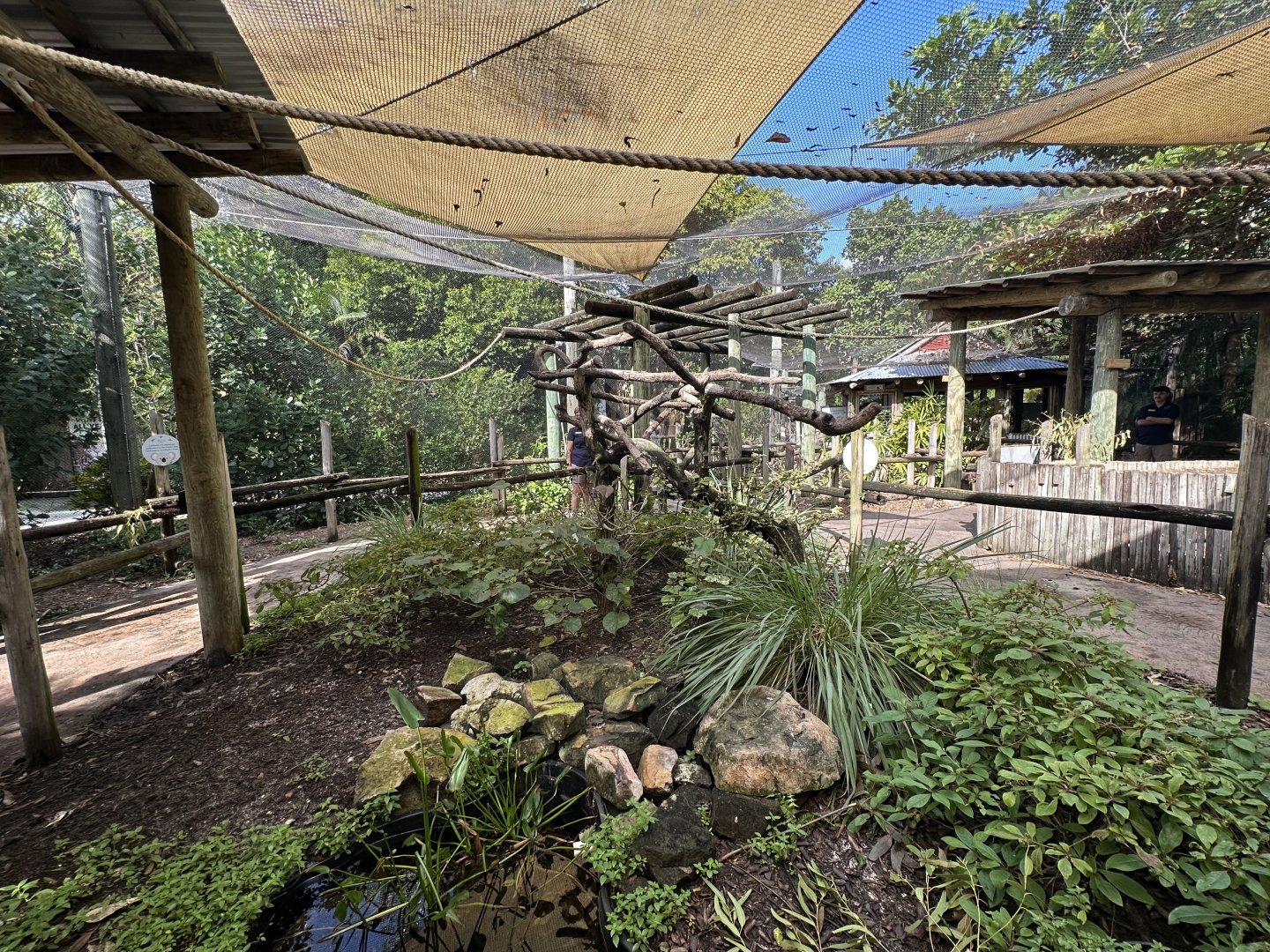 Nov. 2025 - Lorikeet Loft (2)