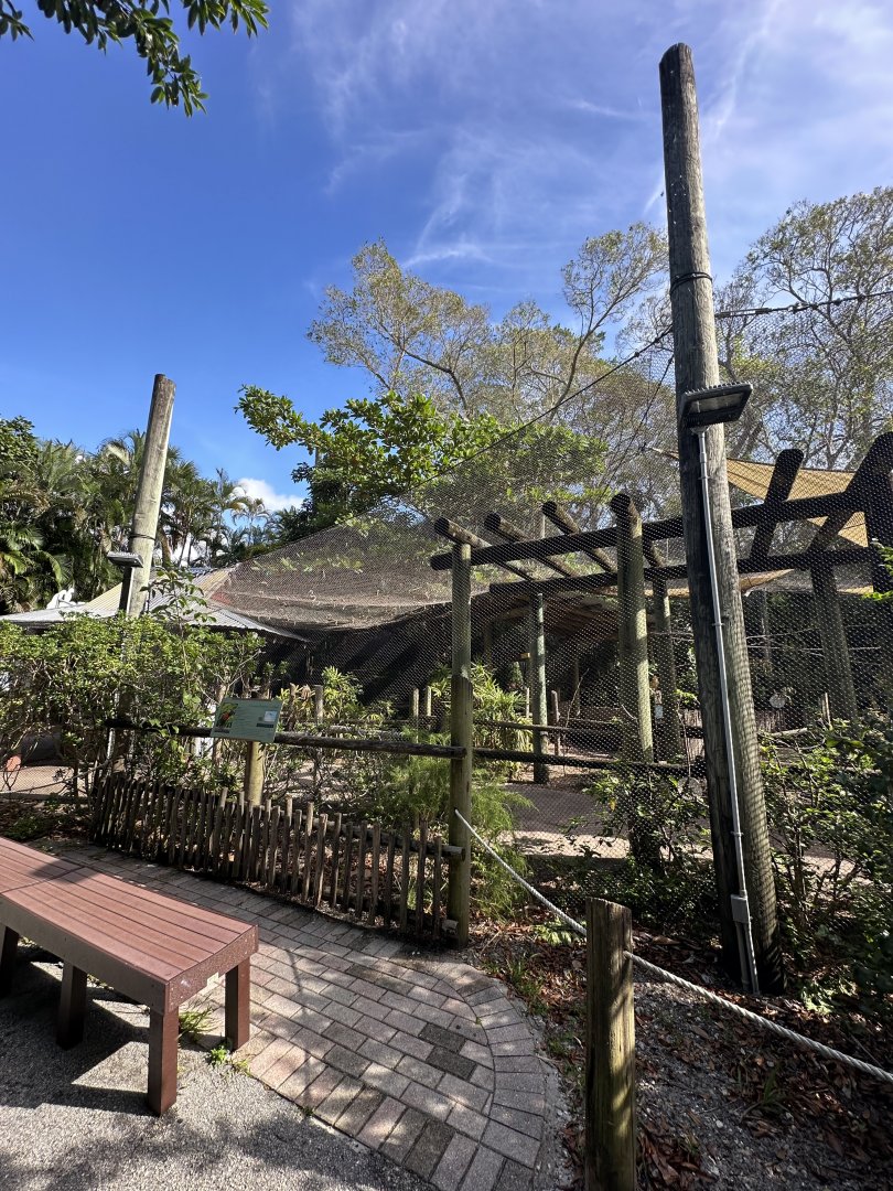 Nov. 2025 - Lorikeet Loft - Exterior