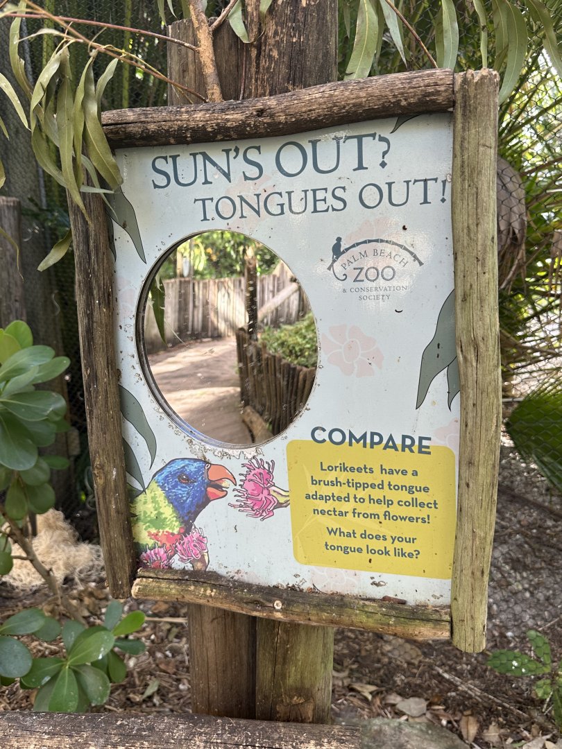 Nov. 2025 - Lorikeet Loft - Interpretive Element