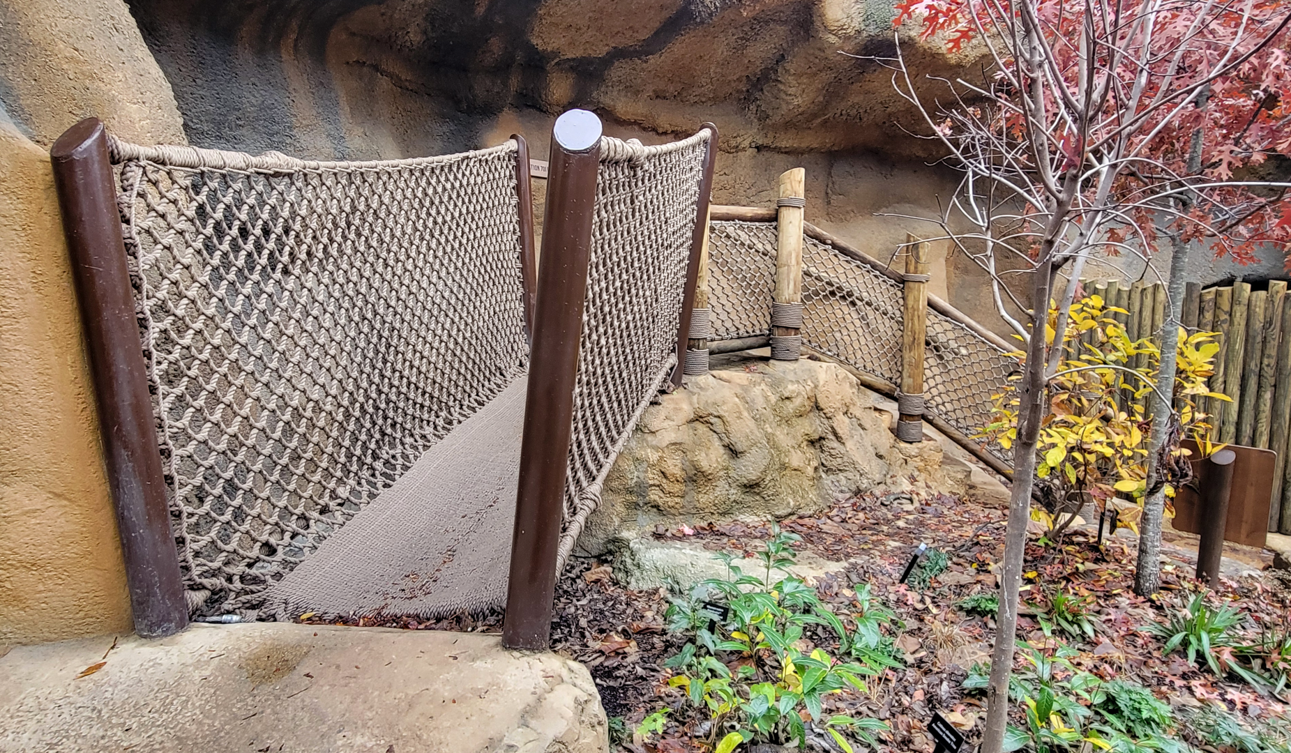 Nov. 2025 - NEW! Bear Ridge - Adventure Trail Bridge