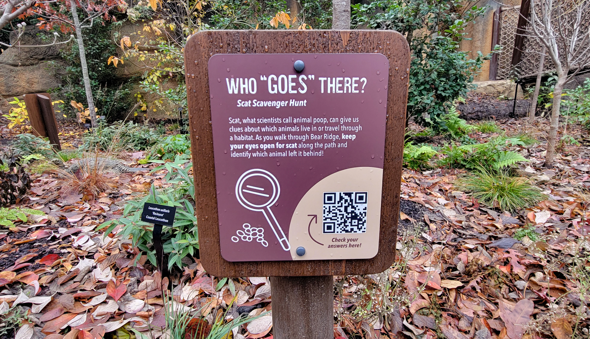 Nov. 2025 - NEW! Bear Ridge - Adventure Trail - Scat Signage