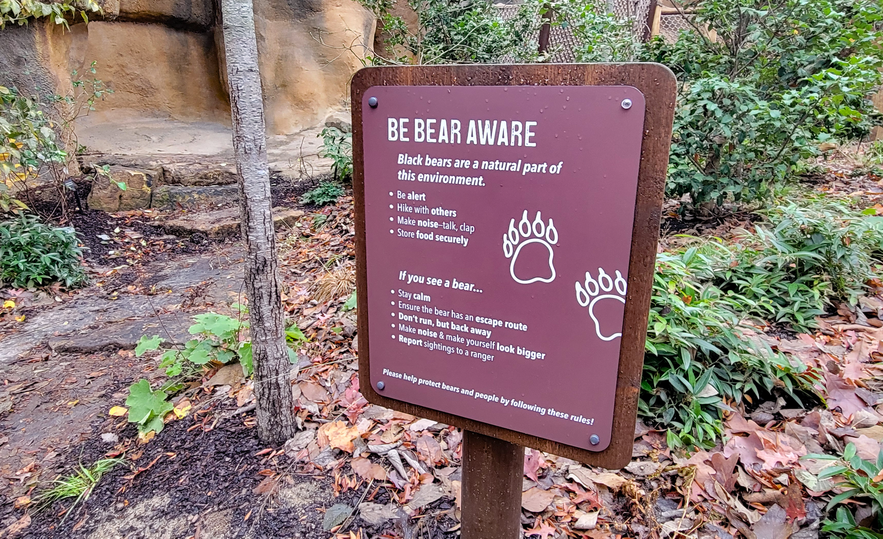 Nov. 2025 - NEW! Bear Ridge - Adventure Trail Sign