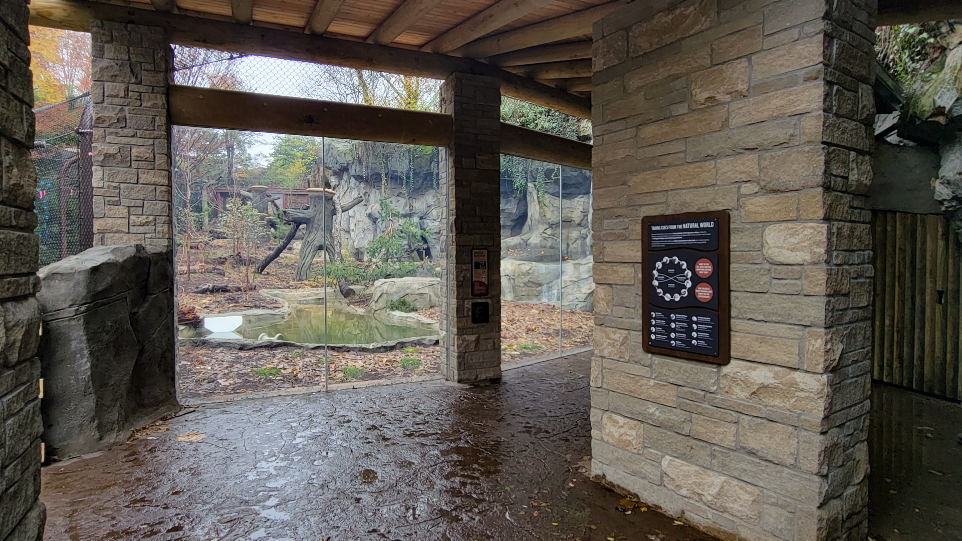 Nov. 2025 - NEW! Bear Ridge - Black Bear Lower Viewing