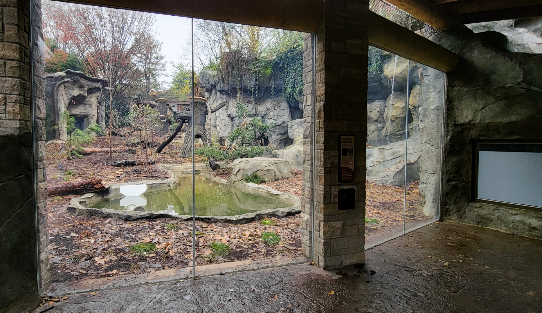 Nov. 2025 - NEW! Bear Ridge - Black Bear Lower Viewing