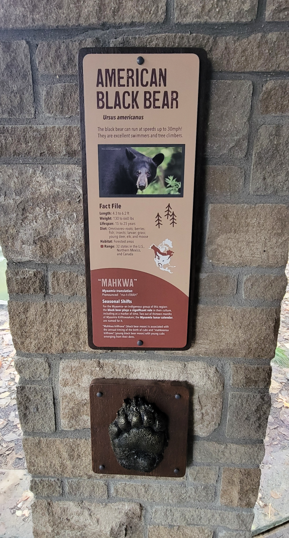 Nov. 2025 - NEW! Bear Ridge - Black Bear Signage