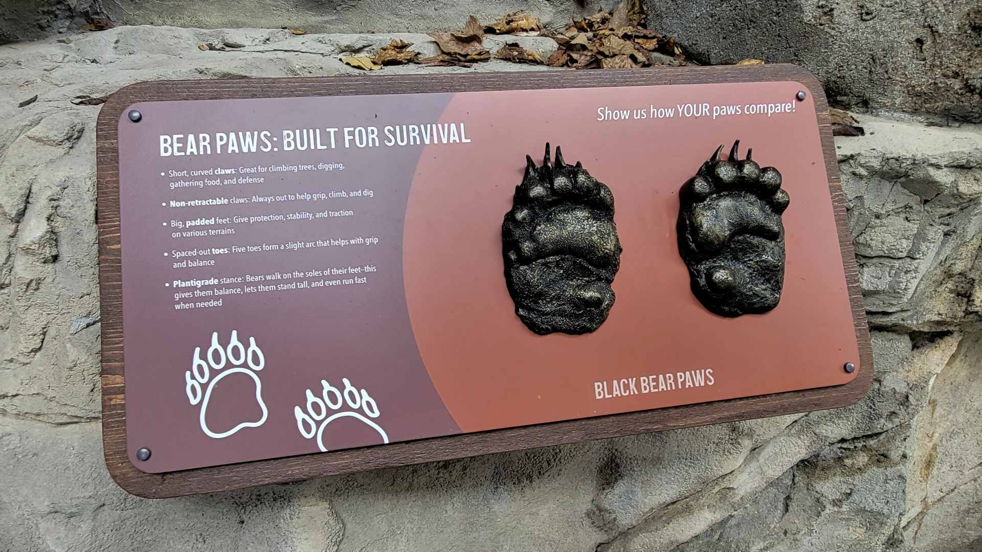 Nov. 2025 - NEW! Bear Ridge - Black Bear Signage