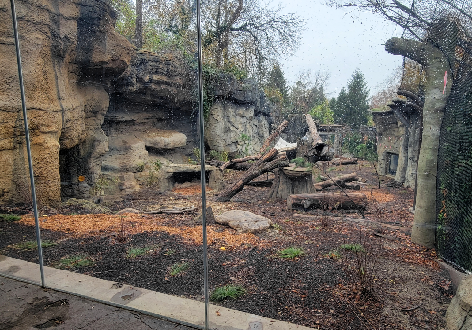 Nov. 2025 - NEW! Bear Ridge - Black Bear Upper Viewing