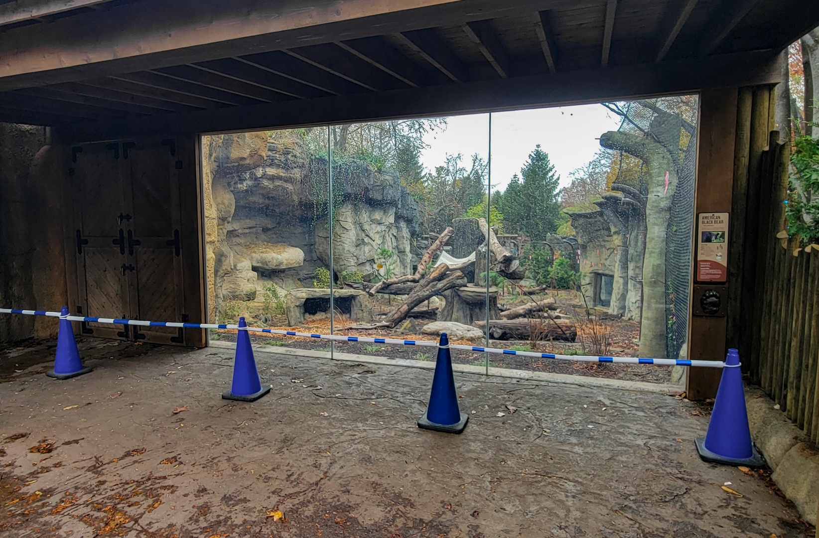 Nov. 2025 - NEW! Bear Ridge - Black Bear Upper Viewing