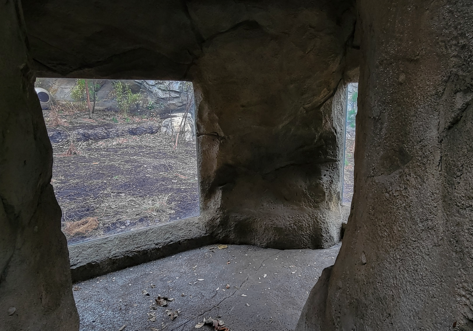 Nov. 2025 - NEW! Bear Ridge - Cave View (Inaccessible For Now)