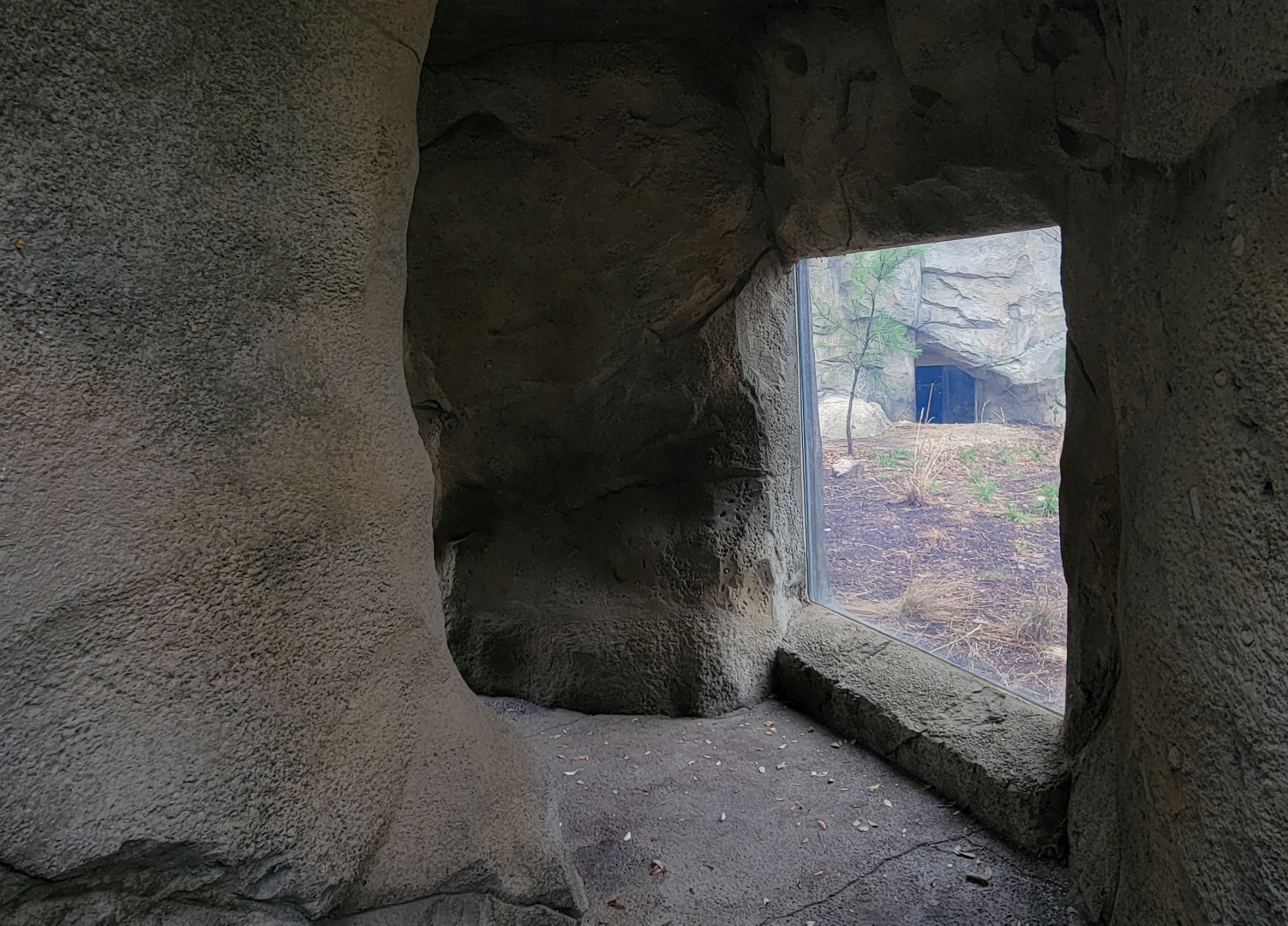 Nov. 2025 - NEW! Bear Ridge - Cave View (Inaccessible For Now)