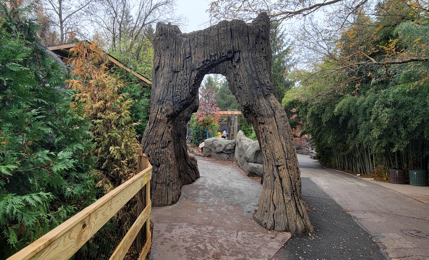 Nov. 2025 - NEW! Bear Ridge - Lower Entrance (Facing Downhill)