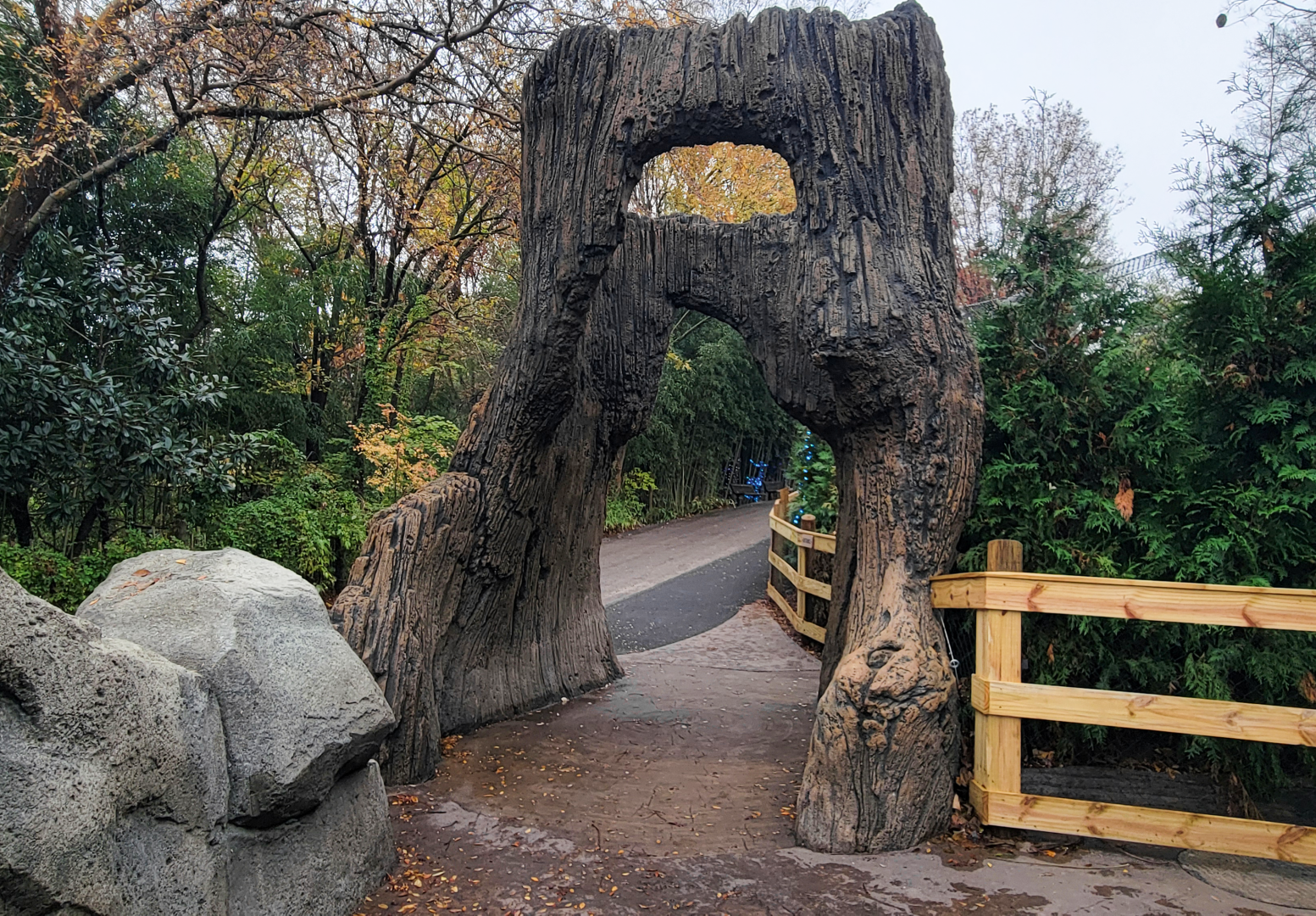 Nov. 2025 - NEW! Bear Ridge - Lower Entrance (Facing Uphill)