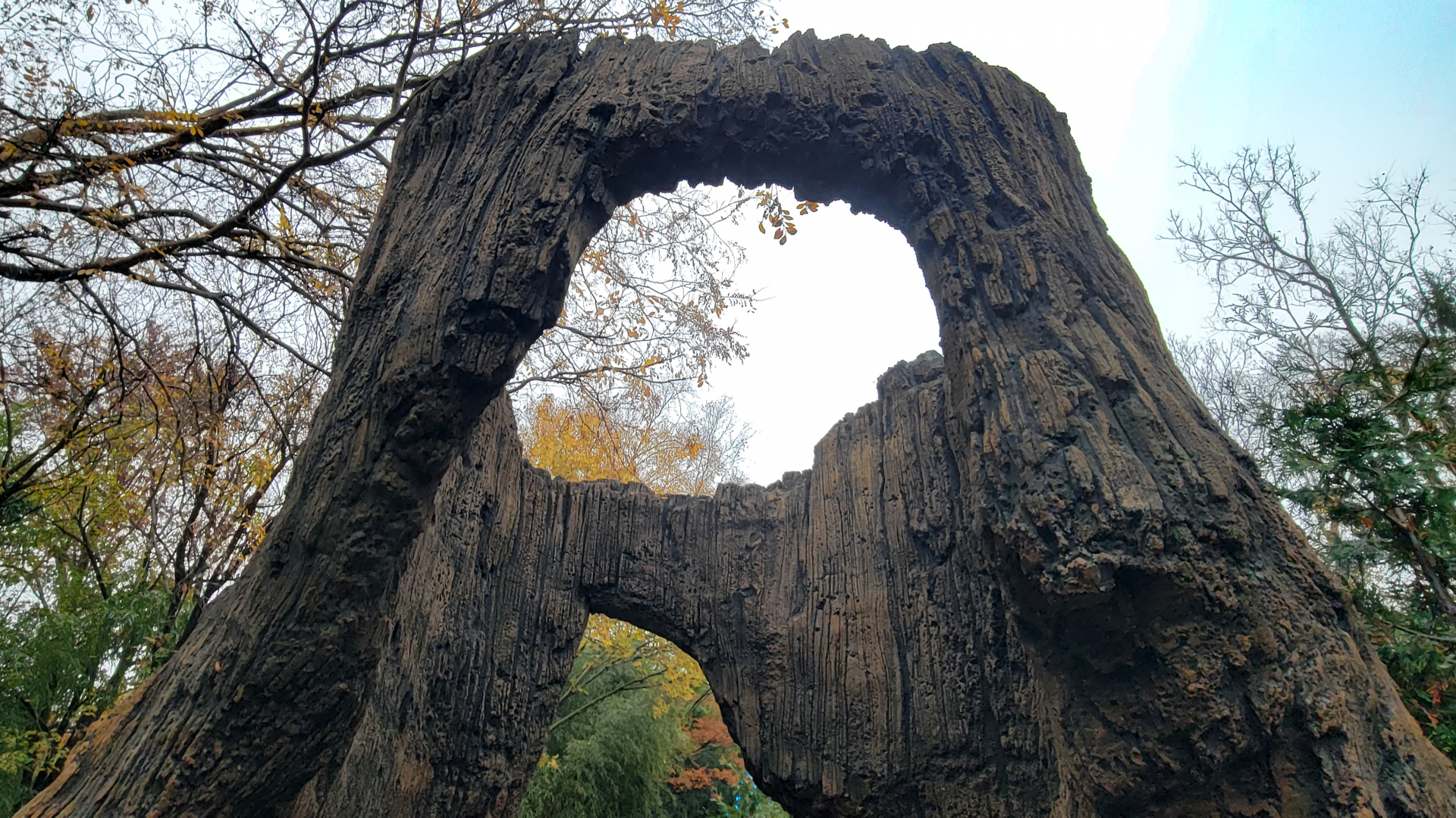 Nov. 2025 - NEW! Bear Ridge - Lower Entrance (Facing Uphill)