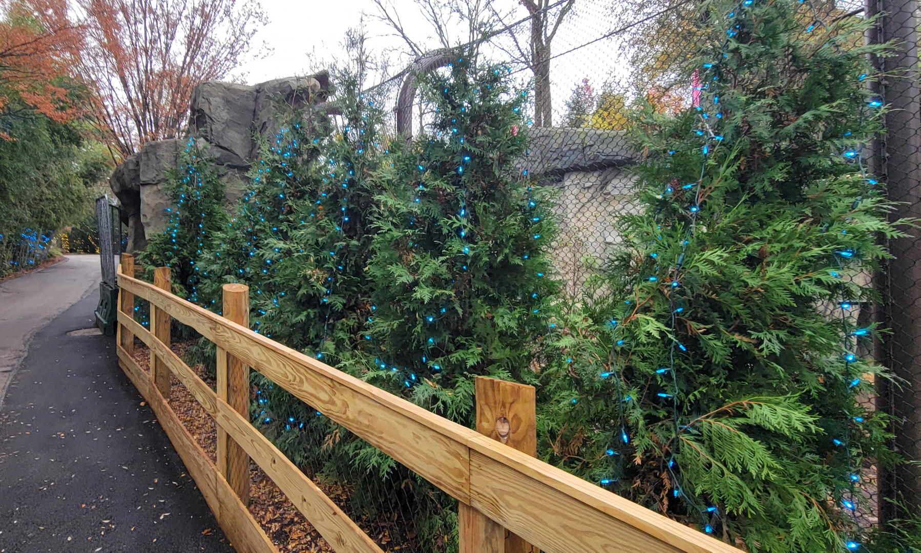 Nov. 2025 - NEW! Bear Ridge - Side View