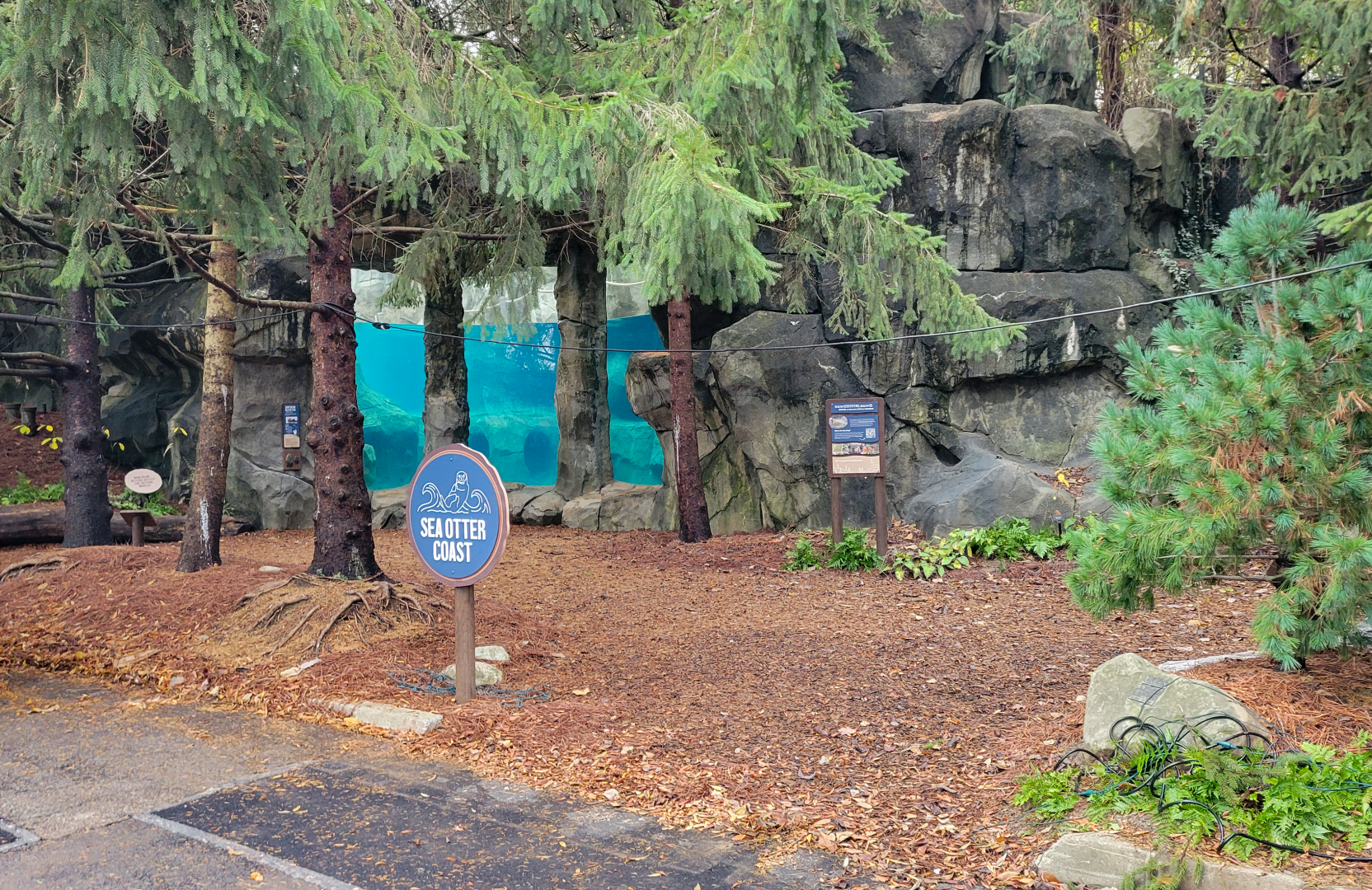 Nov. 2025 - NEW! Sea Otter Coast - Lower Entrance