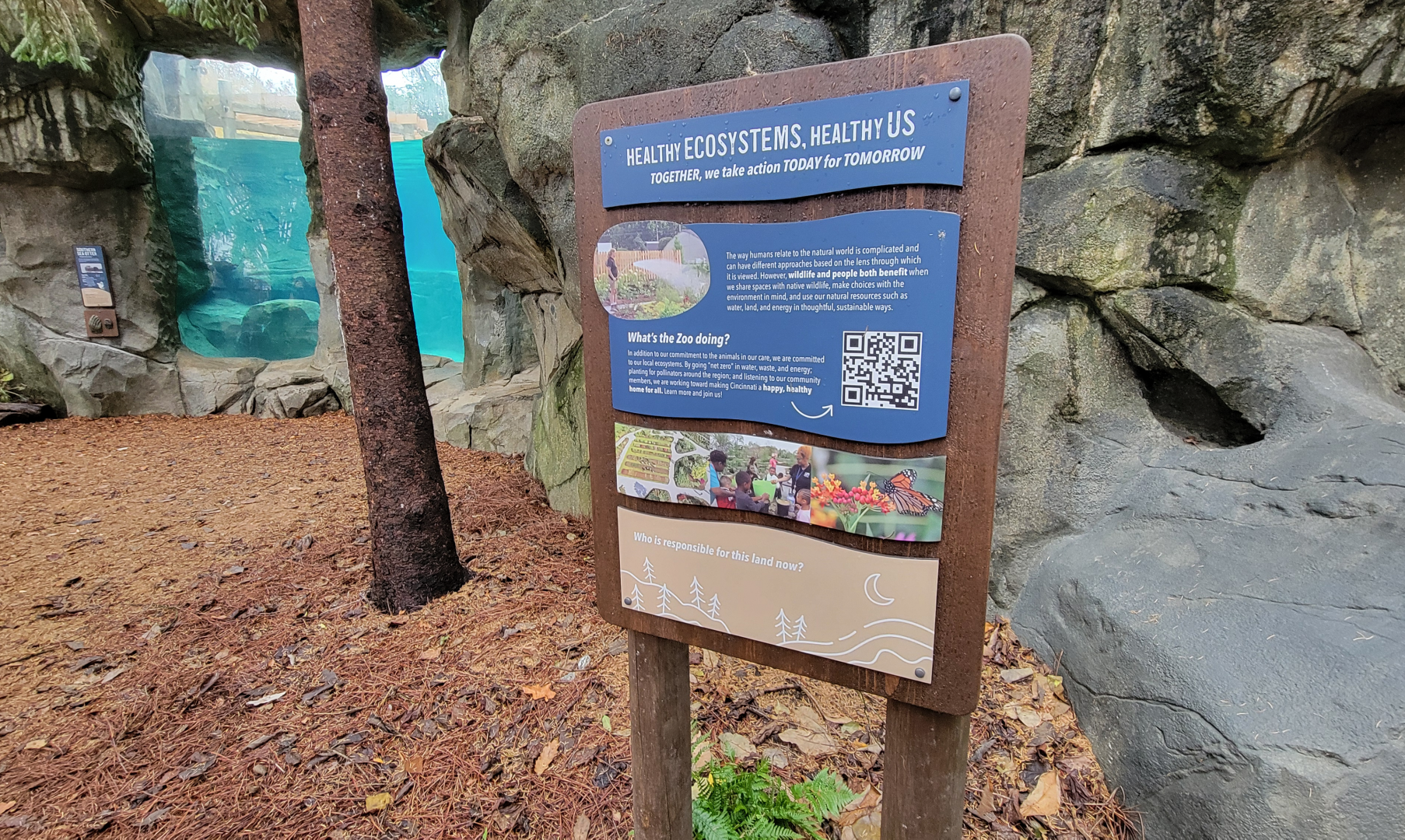 Nov. 2025 - NEW! Sea Otter Coast - Lower Viewing Signage