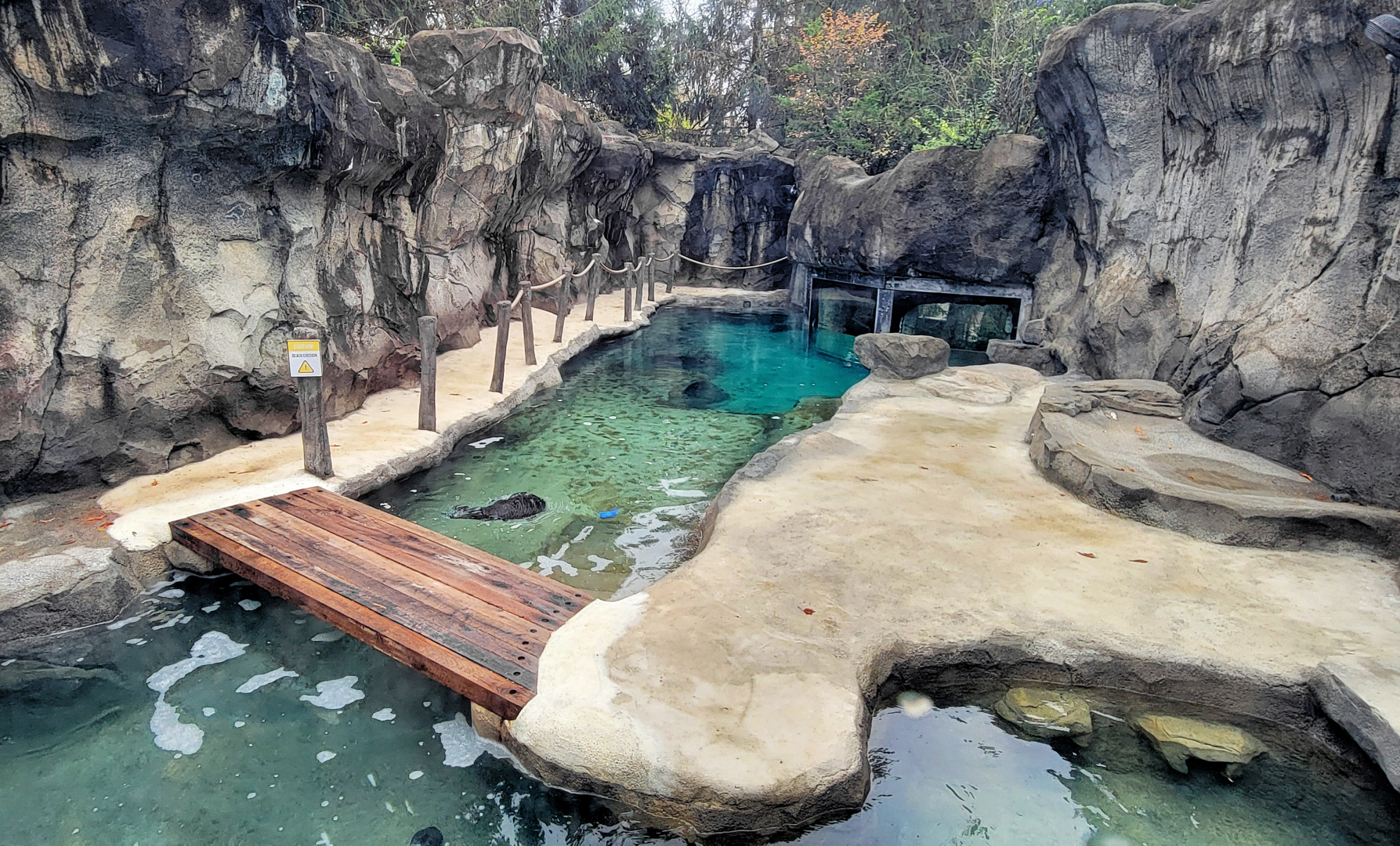 Nov. 2025 - NEW! Sea Otter Coast - Southern Sea Otter Exhibit