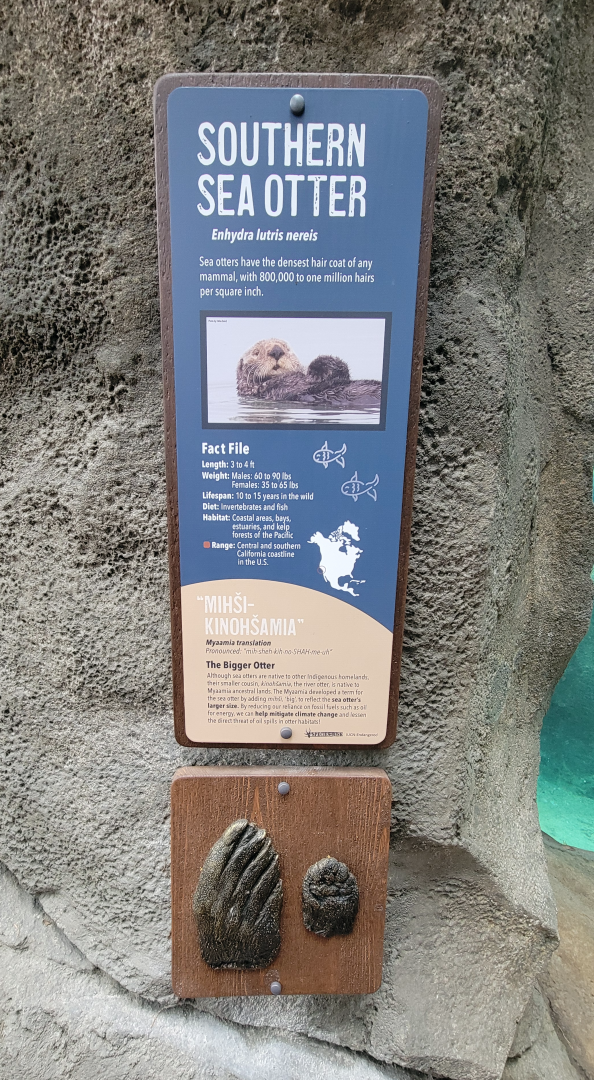 Nov. 2025 - NEW! Sea Otter Coast - Southern Sea Otter Signage