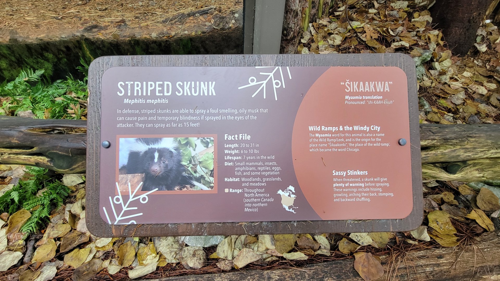 Nov. 2025 - NEW! Sea Otter Coast - Striped Skunk Sign