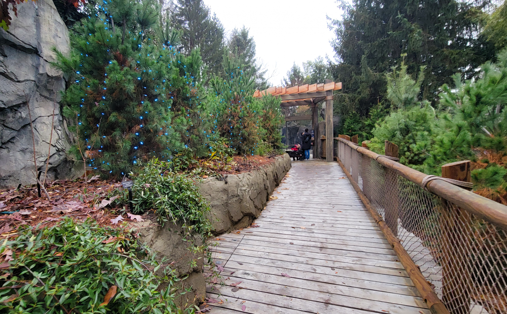 Nov. 2025 - NEW! Sea Otter Coast - Upper Entrance