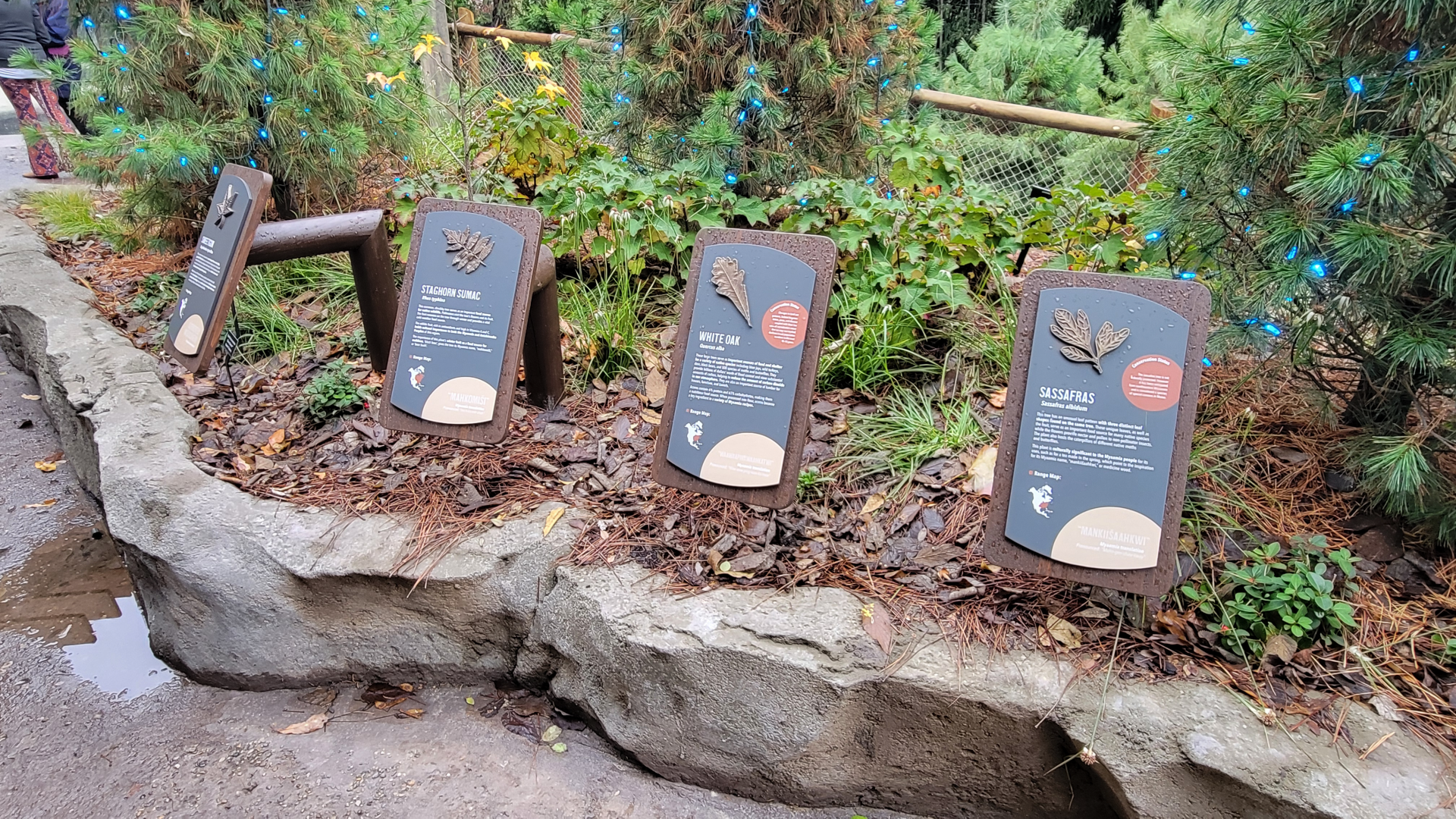 Nov. 2025 - NEW! Sea Otter Coast - Upper Viewing Foliage Signage