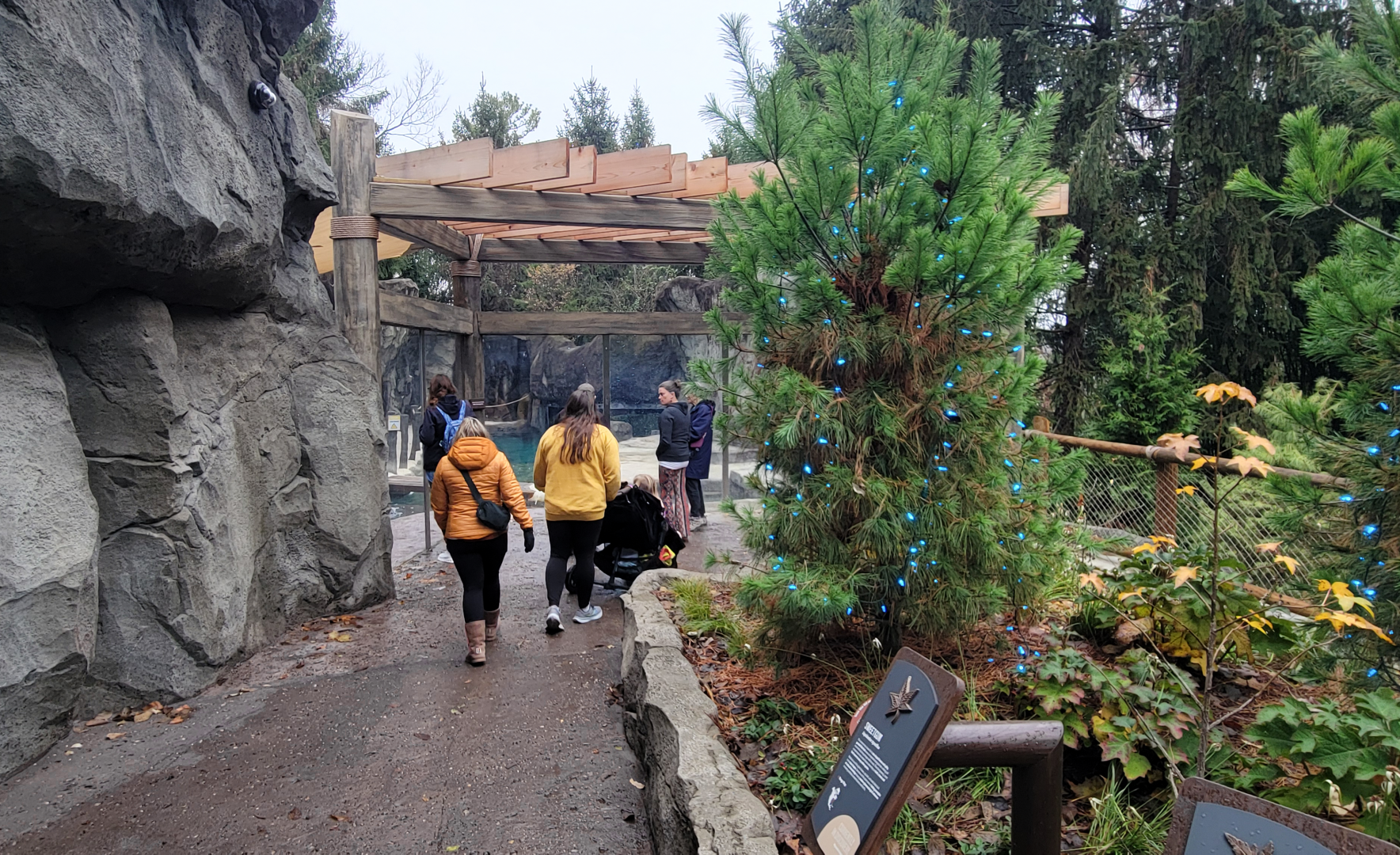 Nov. 2025 - NEW! Sea Otter Coast - Upper Viewing