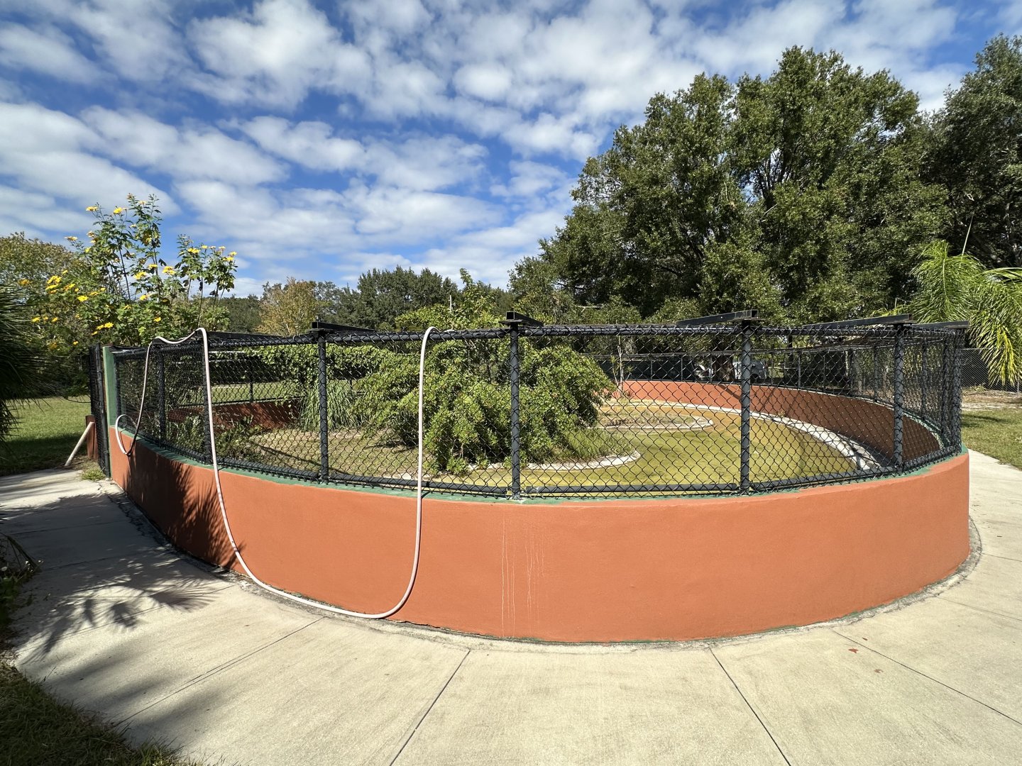 Nov. 2025 - Nile Crocodile Enclosure