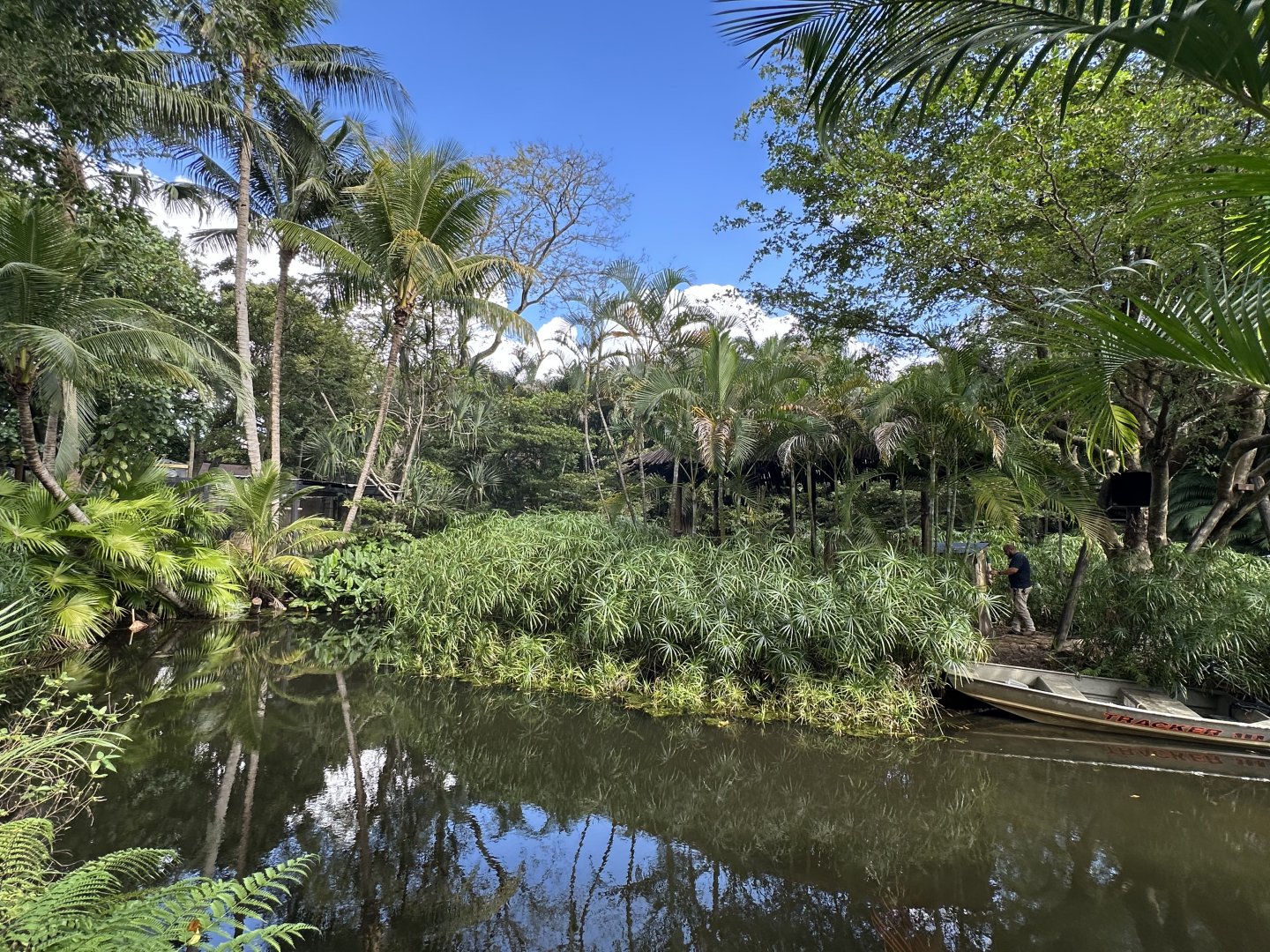 Nov. 2025 - Ring-Tailed Lemur Island