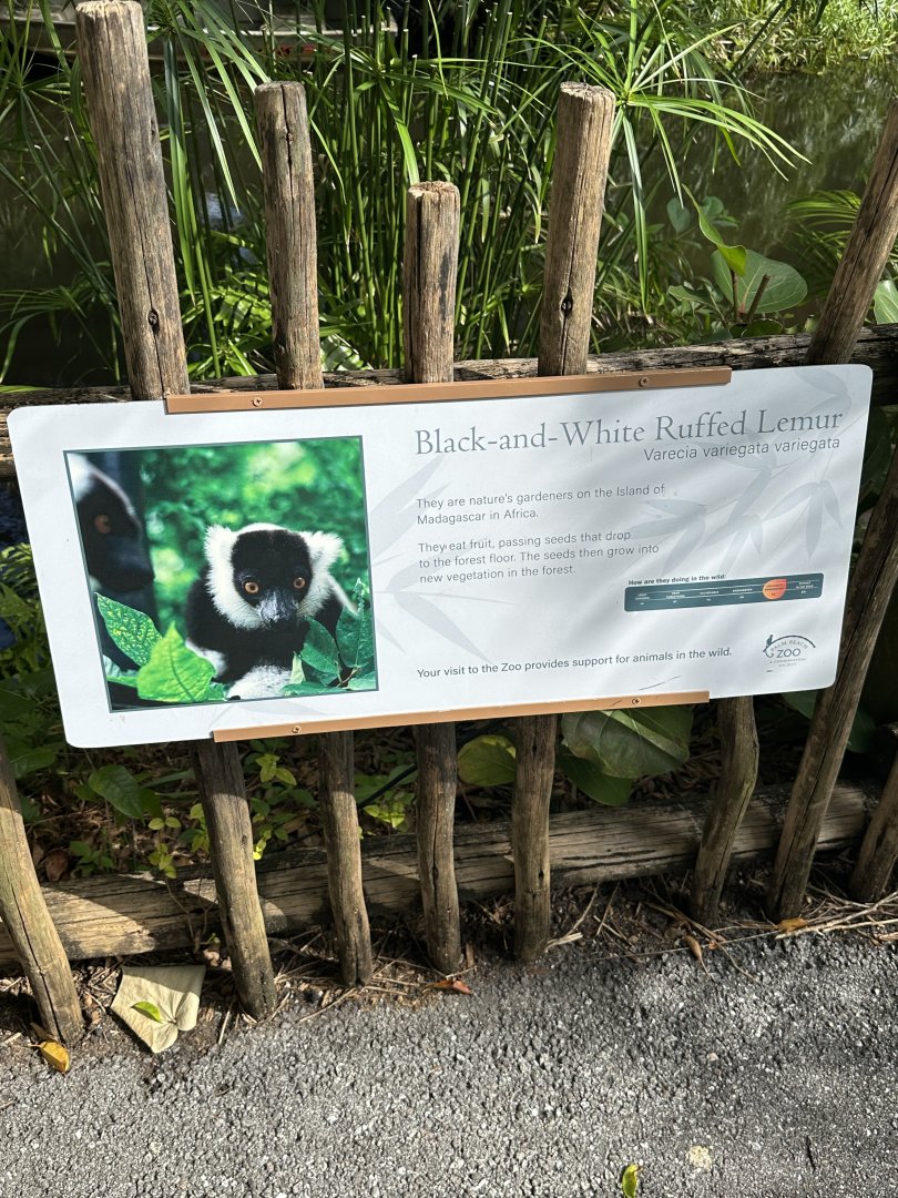 Nov. 2025 - Ruffed Lemur Signage