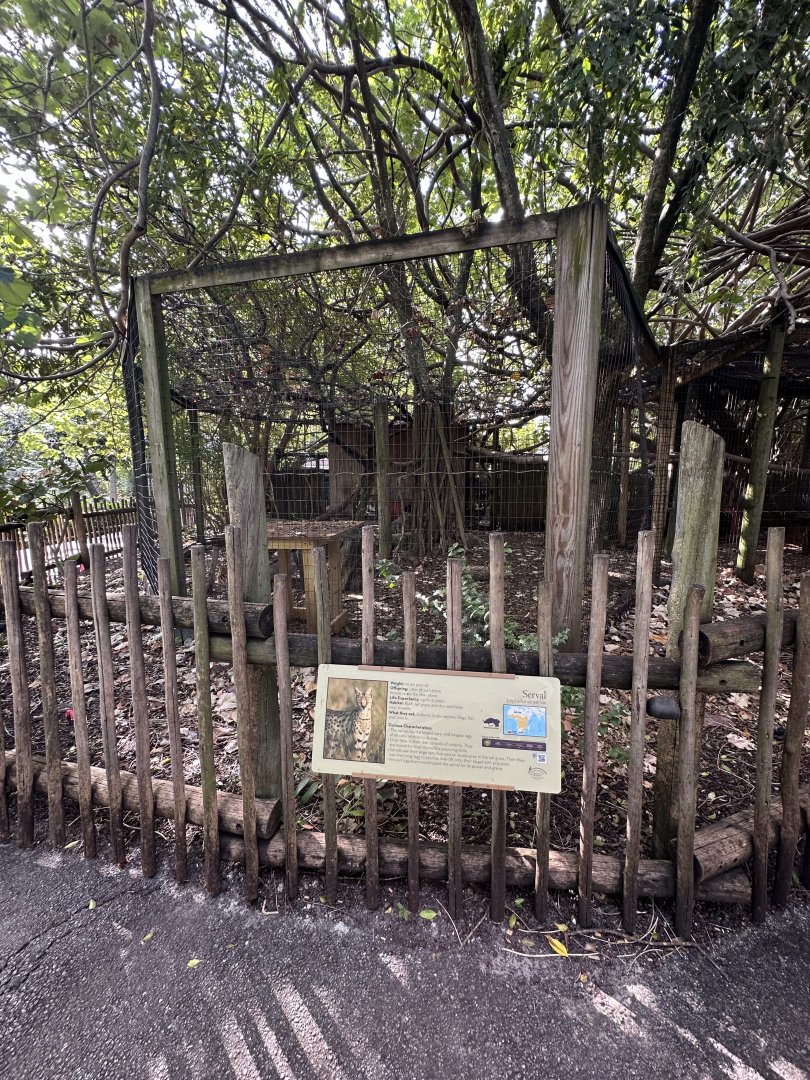 Nov. 2025 - Serval Enclosure