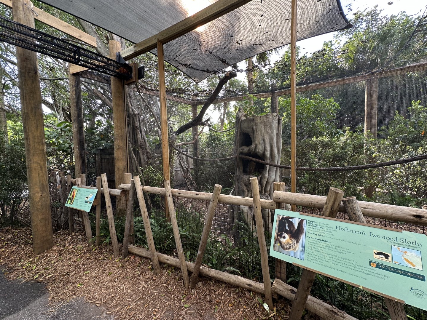 Nov. 2025 - Sloth Mixed Enclosure