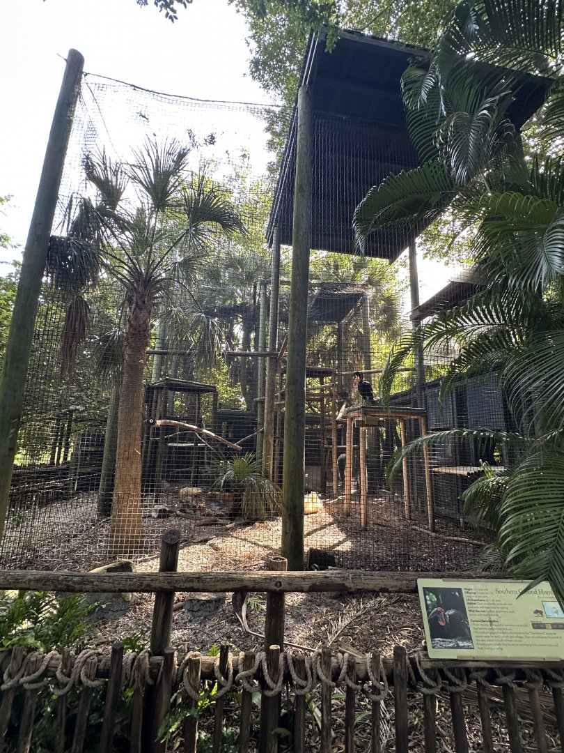 Nov. 2025 - Southern Ground Hornbill Enclosure