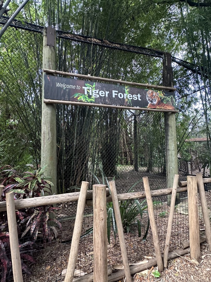 Nov. 2025 - Tiger Forest - Entry Sign