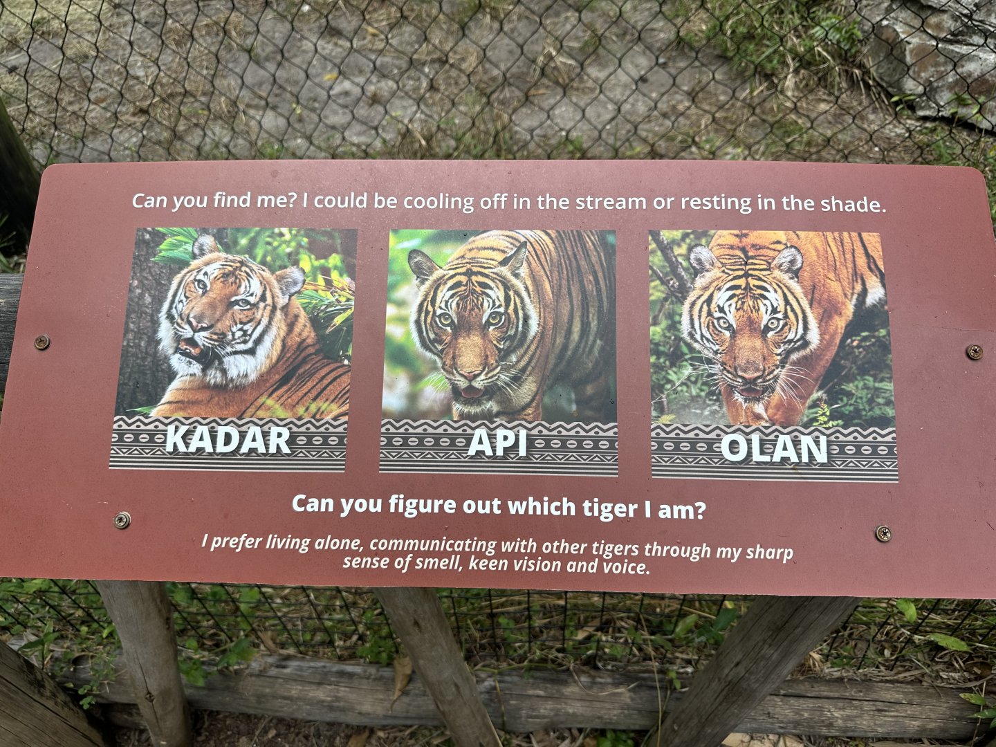 Nov. 2025 - Tiger Forest - Individual Tiger Signage