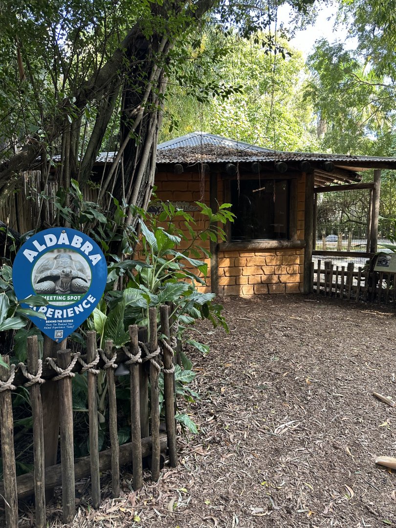 Nov. 2025 - Tortoise Building Overview