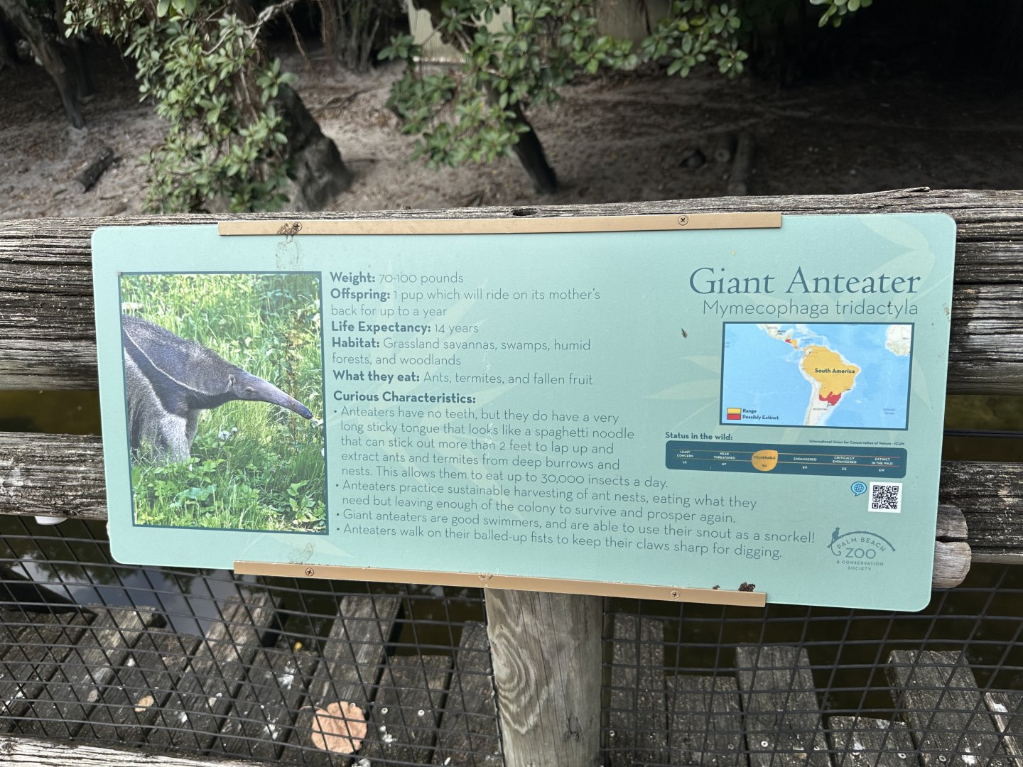 Nov. 2025 - Tropics of the Americas - Anteater Signage