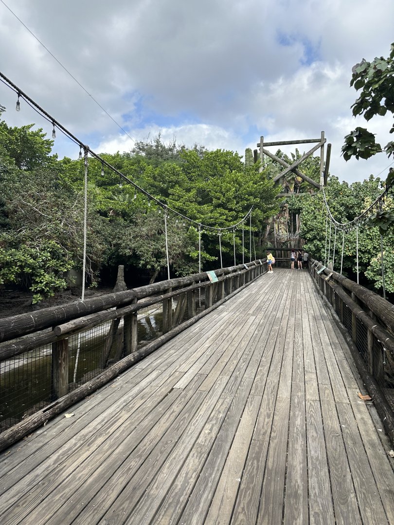 Nov. 2025 - Tropics of the Americas - Bridge