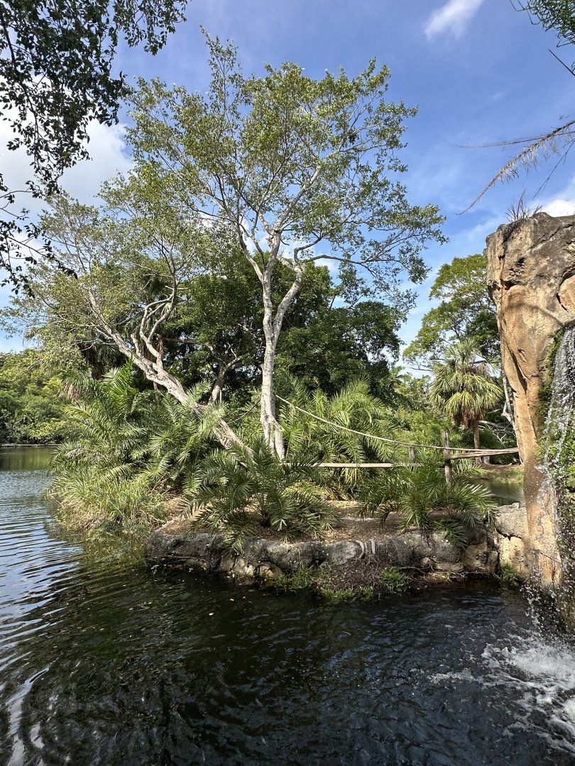 Nov. 2025 - Tropics of the Americas - Spider Monkey Enclosure