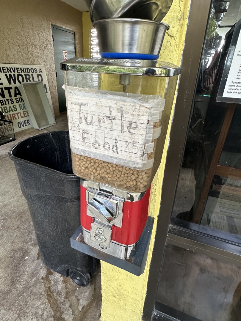 Nov. 2025 - Turtle Food Dispenser